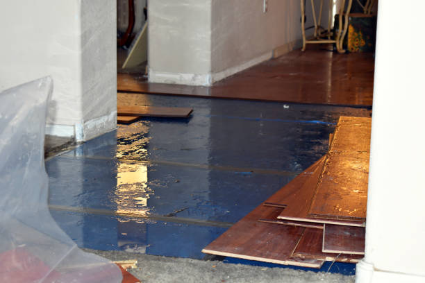 Professional Sewage Cleanup technician working in Harwood, TX